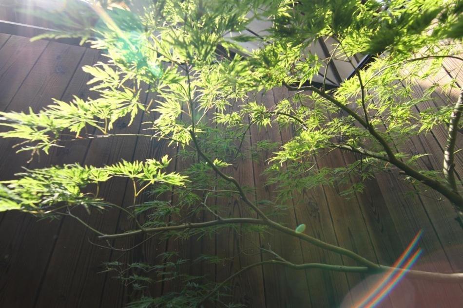 Вилла Anzu An Machiya House Киото Номер фото